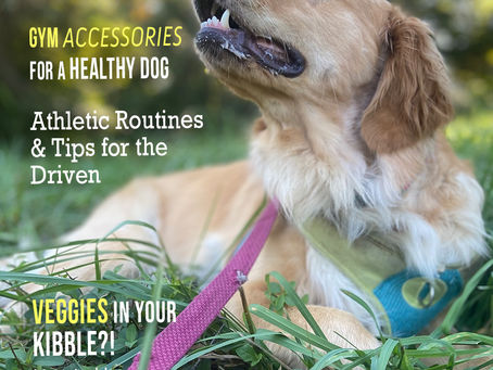 CANINE Magazine Issue 3