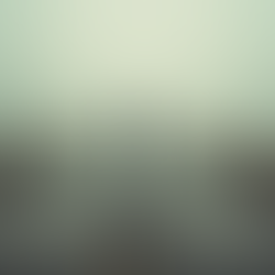 Winning vs Losing Mindset Understanding the Key Differences for Success