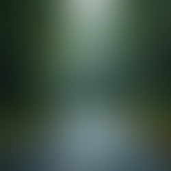 Embrace Growth by Setting Boundaries and Walking Away from Toxic Relationships