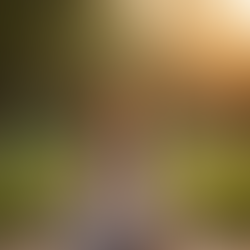 Setting Your Major Goal for 2026 and Crafting a Success Plan