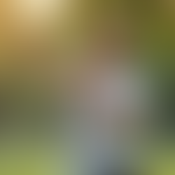 Master Essential Self-Defense Techniques for Everyday Safety