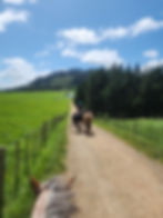 Heading past the shearing shed