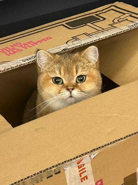 Think Outside the Box