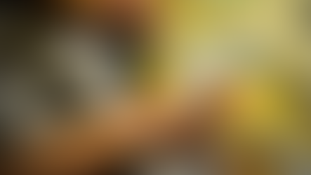 Adesão ao Programa Litígio Zero começa hoje