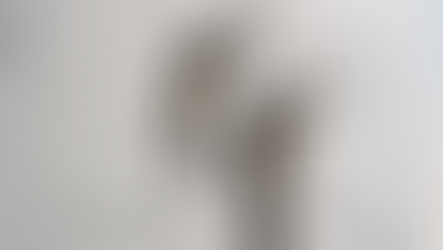 El Niño e altas temperaturas favorecem aumento de casos de dengue