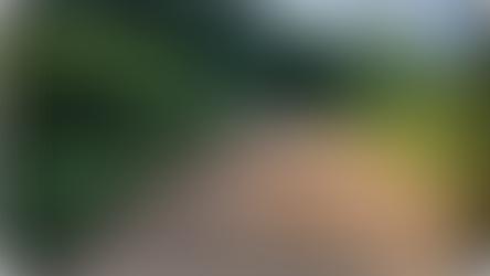 Prefeitura de Cesário Lange Vai Interditar Ponte do Rio Aleluia para Manutenção