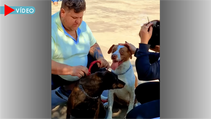 Prefeitura de Tatuí Realiza Ação de Saúde Animal com Mais de 650 Atendimentos 