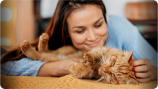 Estudo Liga Presença de Gatos a Níveis Mais Altos de Felicidade