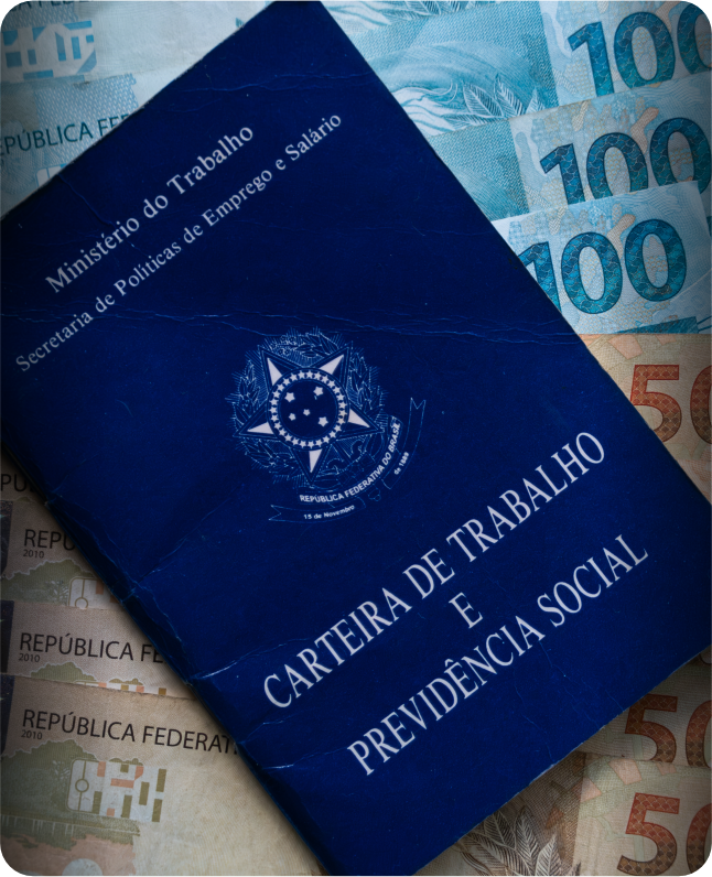 IBGE Registra Recorde de Empregos com Carteira Assinada no Setor Privado