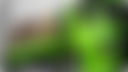 Cata Treco em Araçoiaba vai Atender vários Bairros nesta Segunda