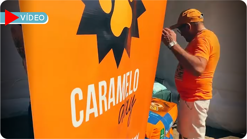 Caramelo Day: Boituva Promove Feira de Adoção e Microchipagem Gratuita neste Sábado