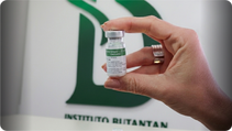 Vacina da Dengue do Butantan Tem Aplicação Suspensa Após Casos Graves