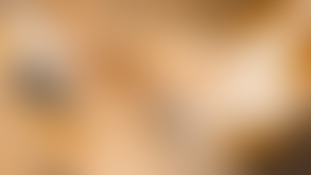 Rodeio em Sorocaba: um retrocesso na causa animal