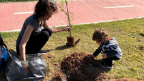 Sorocaba realiza ação em comemoração ao Dia Mundial do Meio Ambiente