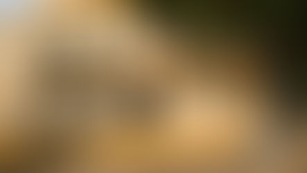 Tatuí expões obras do acervo técnico do museu histórico “Paulo Setúbal” 