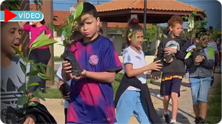 Alunos Plantam 134 Mudas em Ação pelo Dia da Árvore em Tietê
