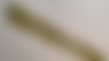 MEC Explora Uso de Inteligência Artificial nas Políticas Públicas de Educação