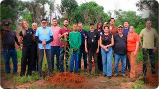 Iperó Planta Cerca de 100 Árvores no Bairro Bela Vista