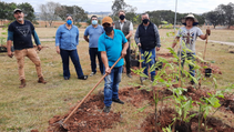 Tatuí: Dezenas de mudas de árvores são plantadas no “sábado verde”