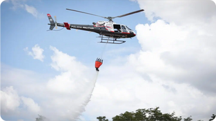 SP Registra Queda de 75% em Focos de Incêndio na 1ª Quinzena de Agosto