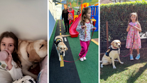 Cães de Assistência Transformam Vidas de Crianças com TEA
