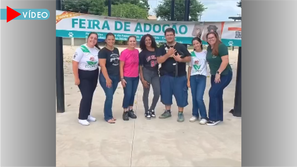 Festa das Nações 2025 promove Feira de Adoção de Animais no Canil Municipal