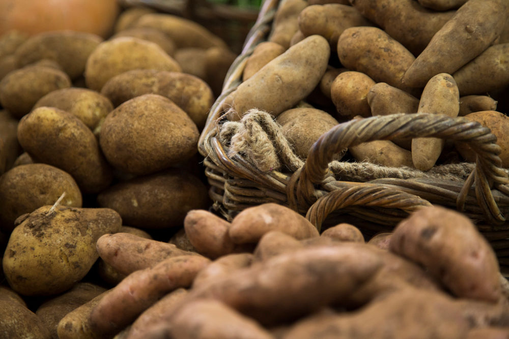 Organic Potatoes Dutch Cream