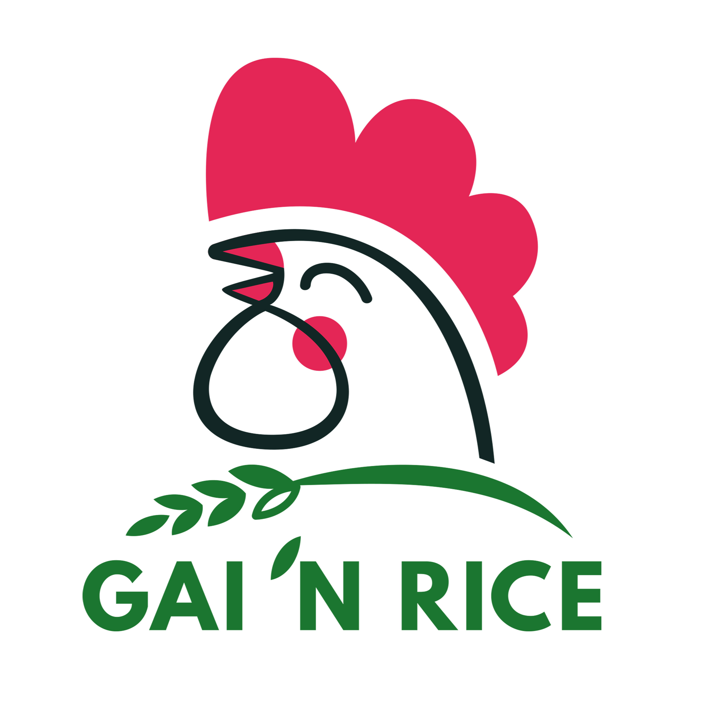Gai 'N Rice