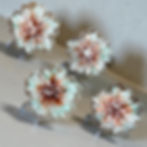Thumbnail: Blossom Burst Coasters