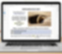 A Groundhog Day poll and answer page being used on a laptop in speech therapy.