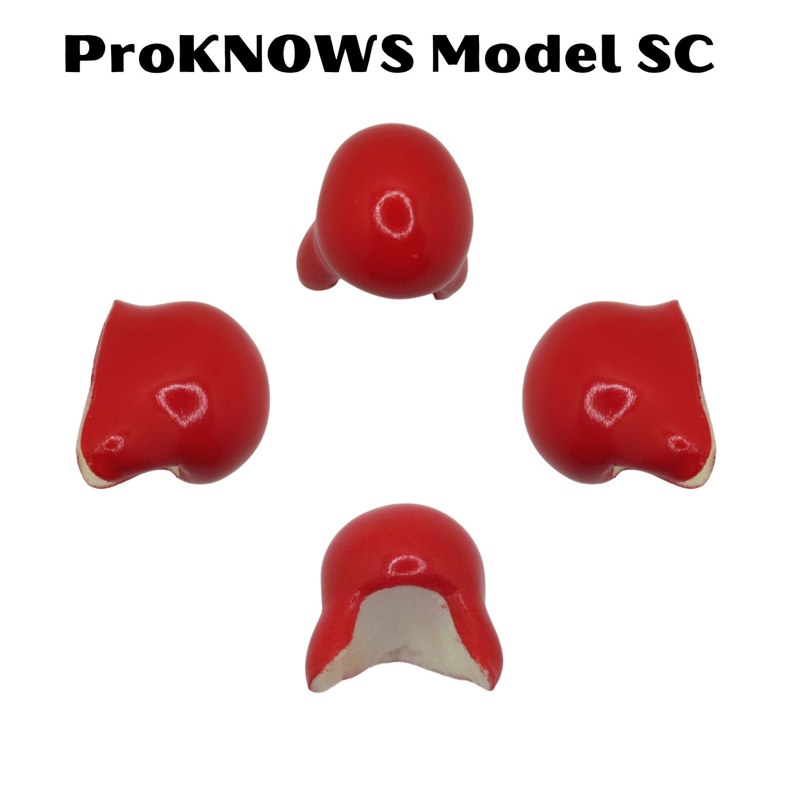 ProKNOWS Model SC