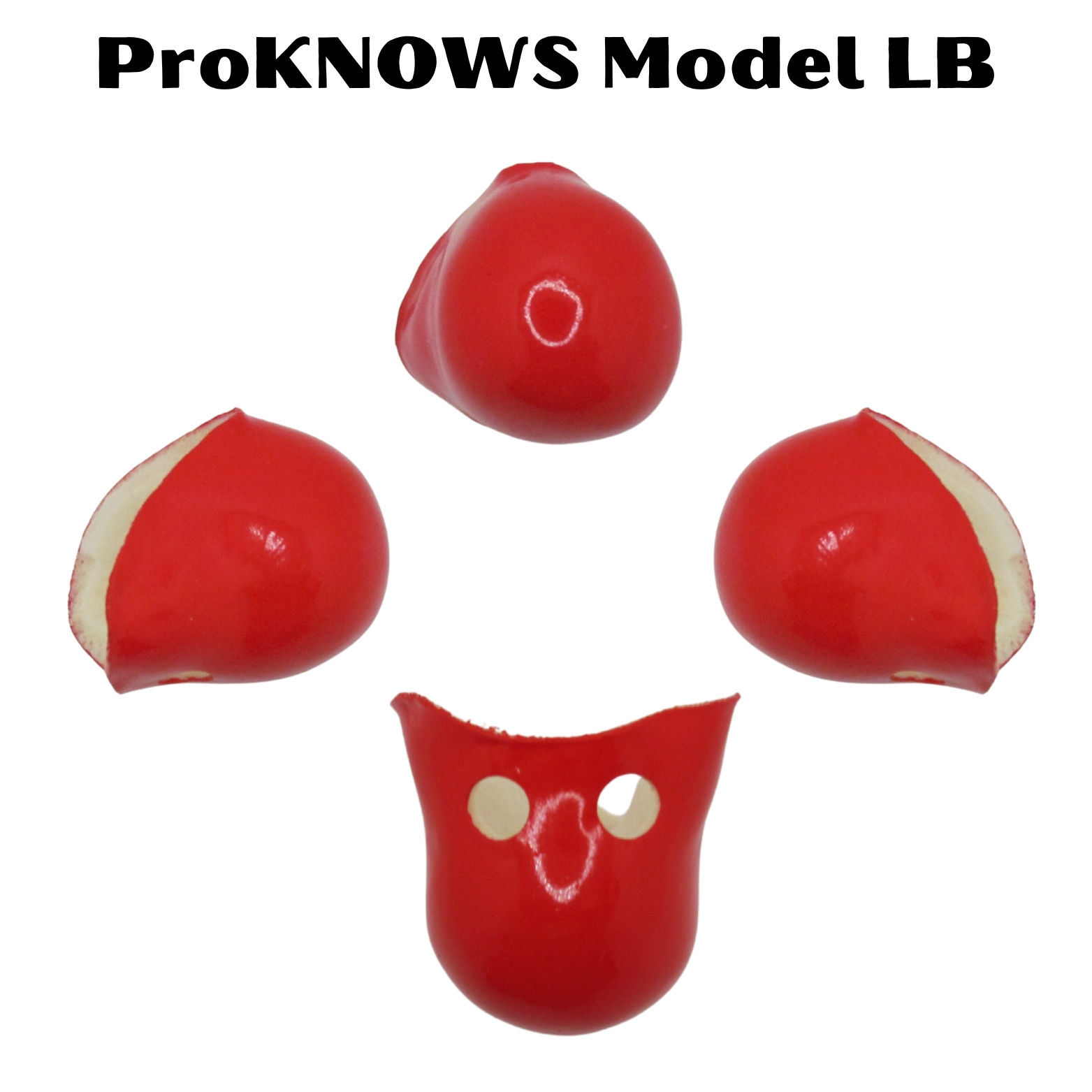 ProKNOWS Model LB