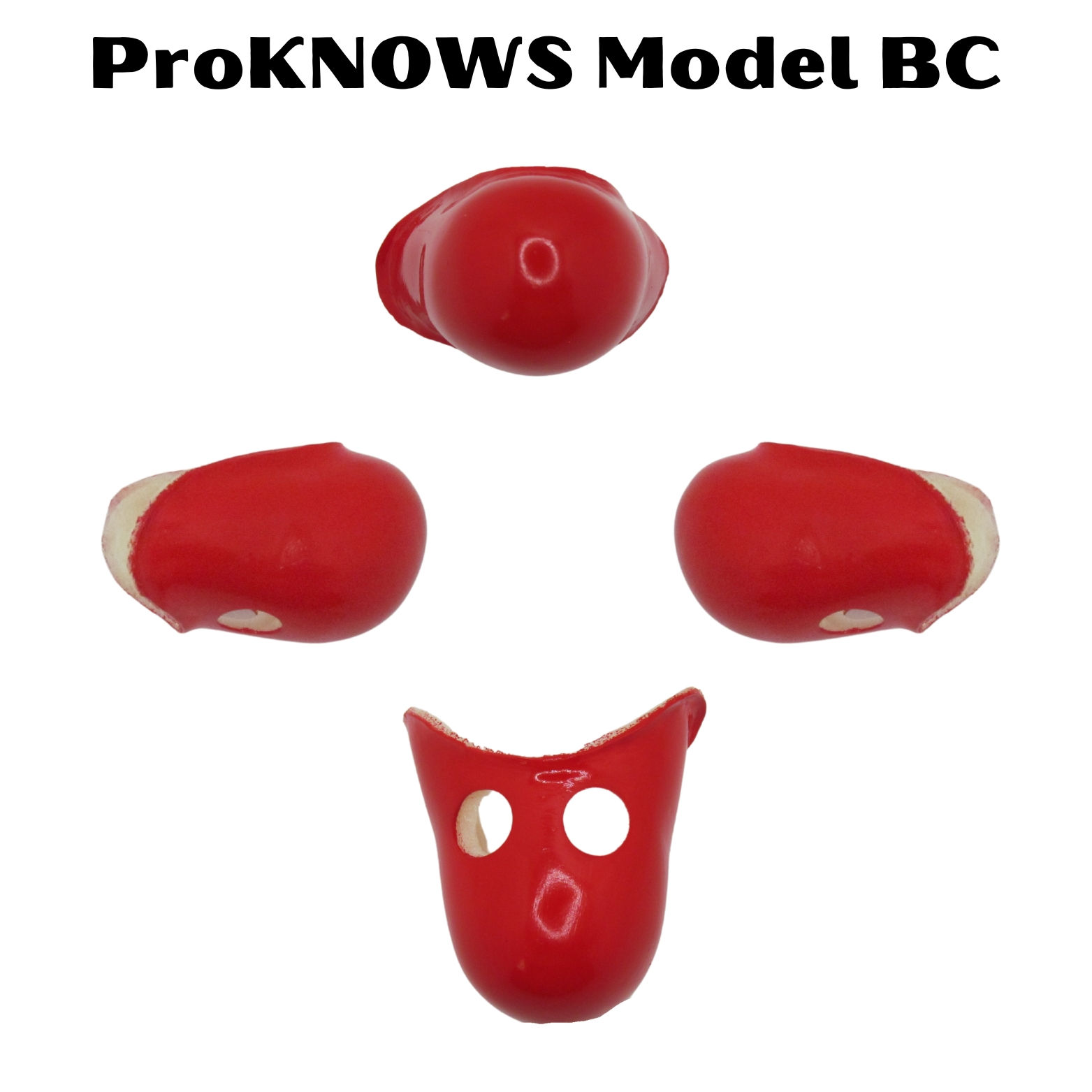 ProKNOWS Model BC