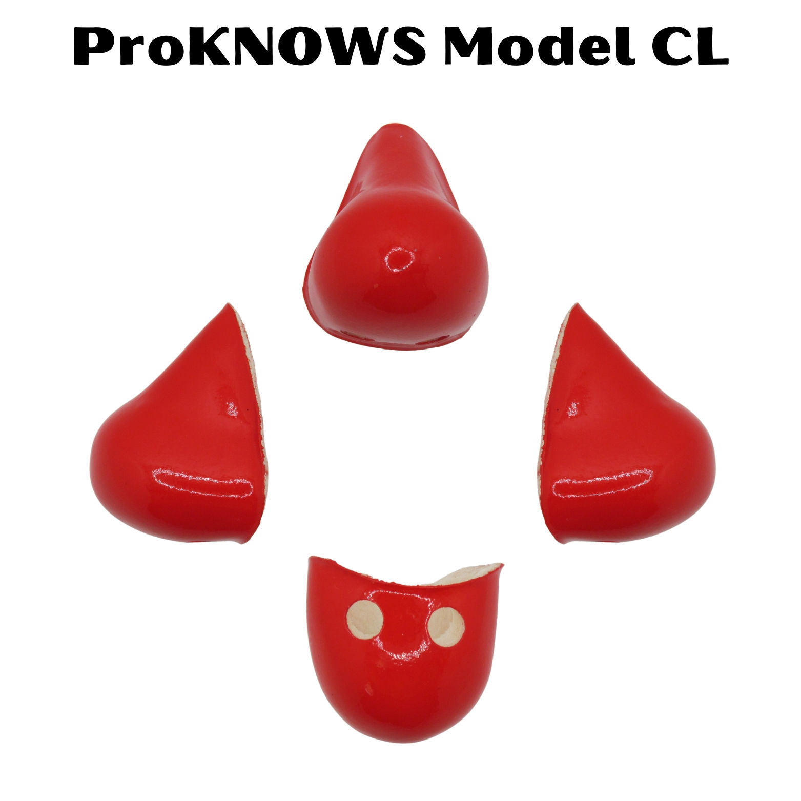 ProKNOWS Model CL