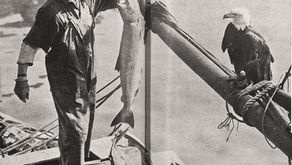 1921::Salmon vs. Eagle
