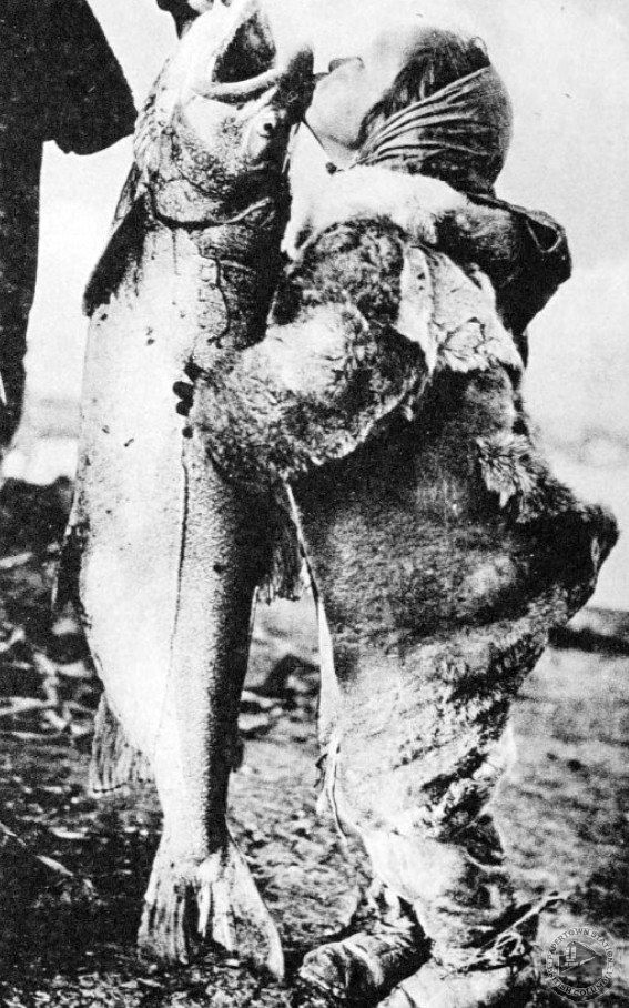 1917::Kiss of the Arctic Char in Nunavut, Canada