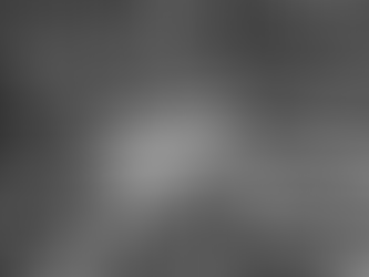 1950::A Bird's Eye View of Victoria, British Columbia