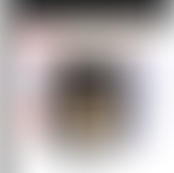 MAQUILLAJE EN POLVO FIT ME MATTE MAYBELLINE