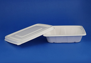 Bagasse Sugarcane Bio Degradable 500 ml Food Container Manufacture in India - CRP ECO PACK