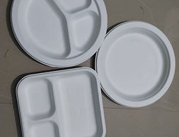 Bagasse Sugarcane Bio Degradable Tableware Manufacture in India - CRP ECO PACK