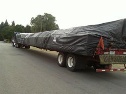 393037_572964592737214_528525721_n