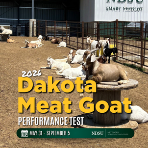 Announcing 2026 Dakota Meat Goat Buck Performance Test