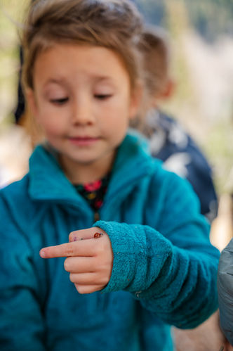 LEAP is a Bozeman-based outdoor preschool where children learn, explore, and grow through hands-on, nature-centered early childhood education at Yellowstone Alliance Adventures