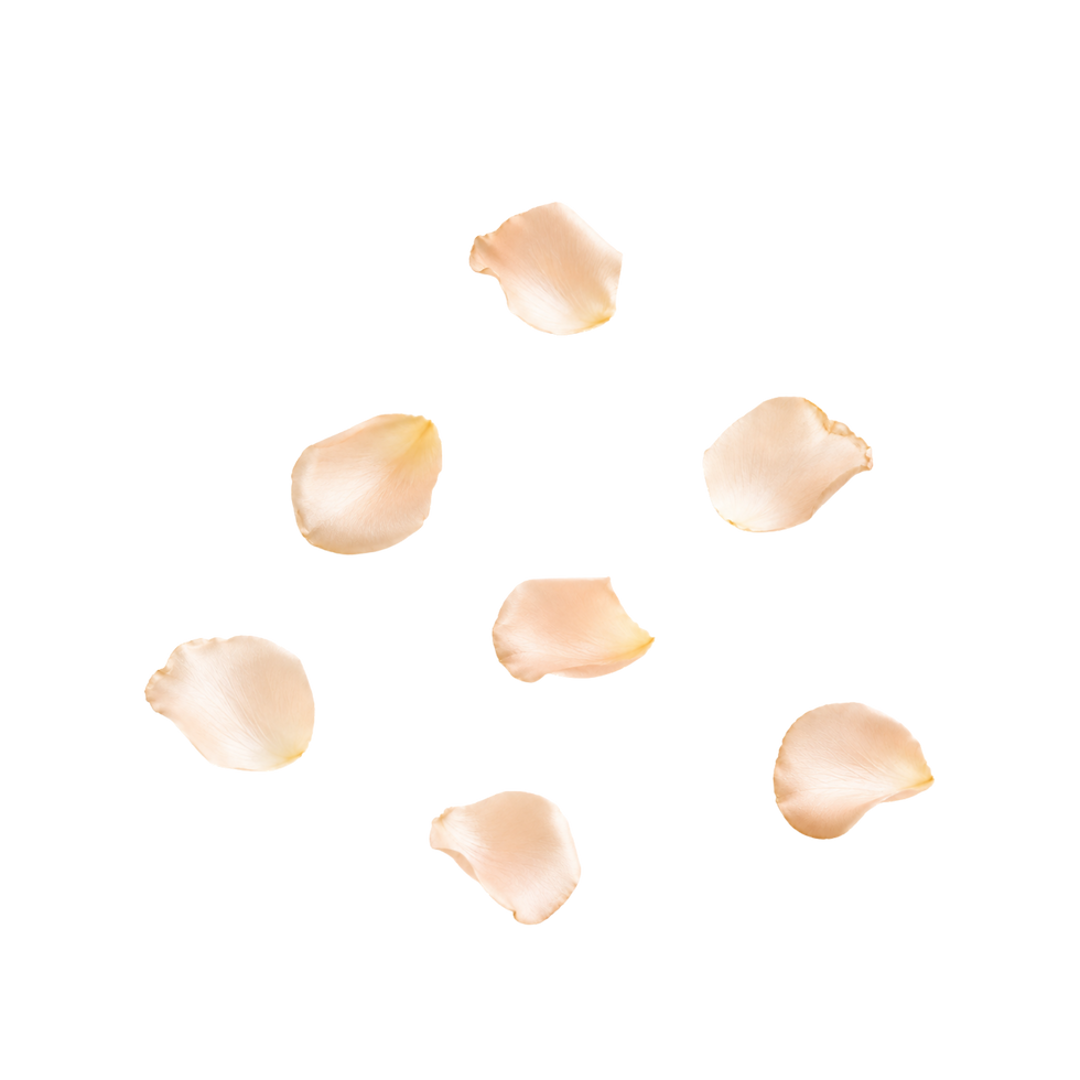 Cadenza (5).png