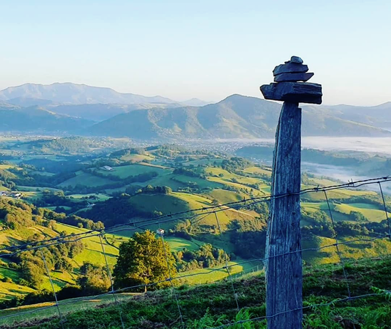 Captura de tela_20211024-164038.png