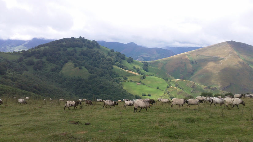 Compostelle autrement