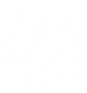 brain-01.png