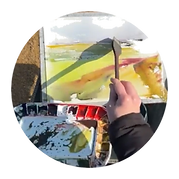 result_image_6_edited.png