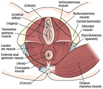 vaginal rejuvenation