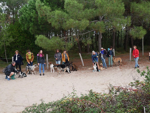groupe rando noirmout.jpg